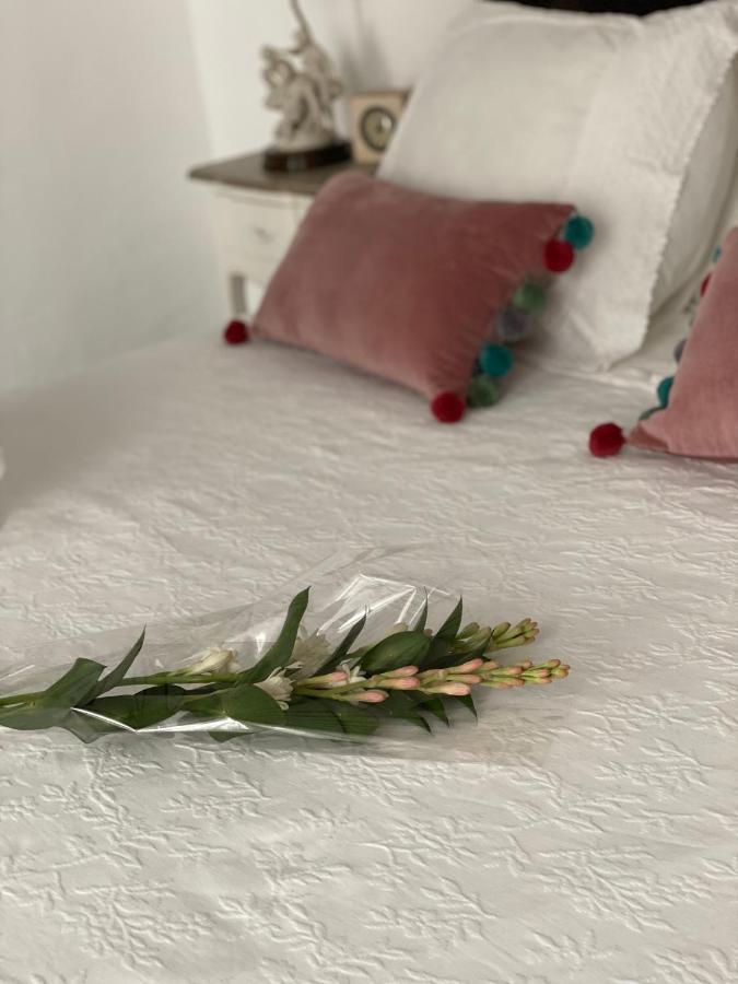 Homestay Lujosa Privada En Casa Del S Xix *